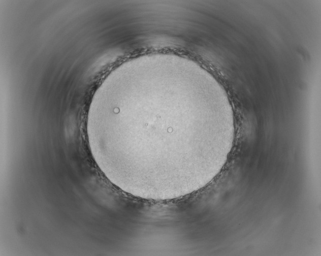 X0000111940824200909071258