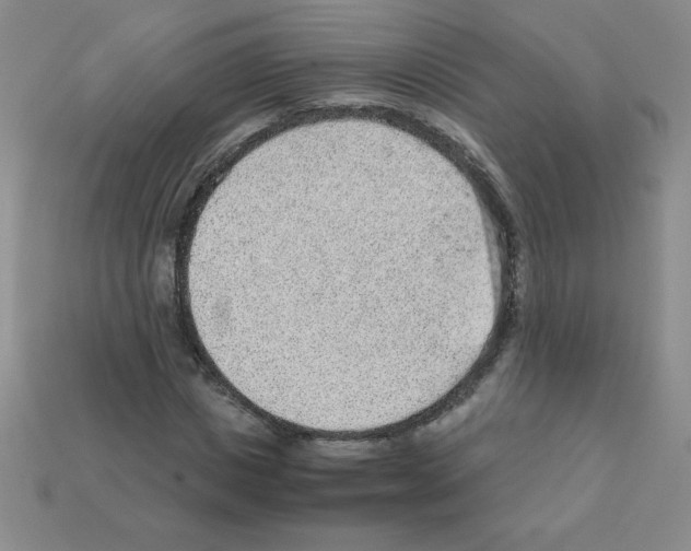 X0000111940825200909071258