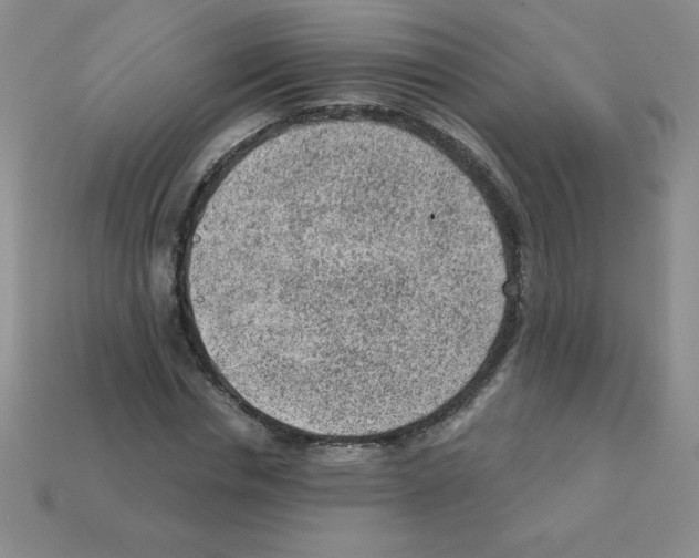 X0000111940826200909071258