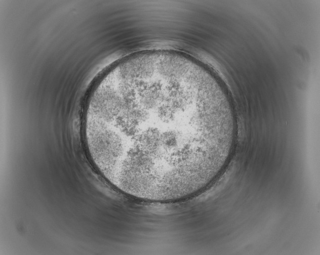 X0000111940827200909071258