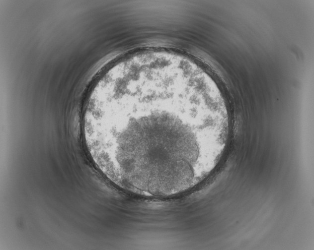 X0000111940829200909071258