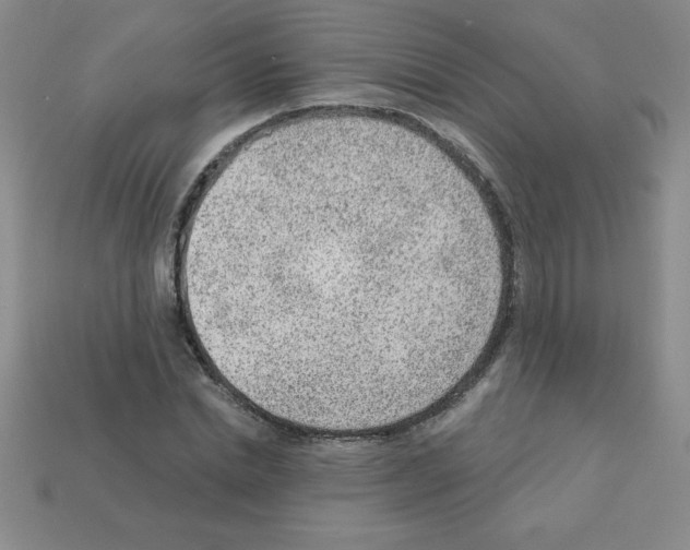 X0000111940830200909071258
