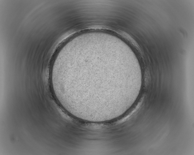 X0000111940831200909071258