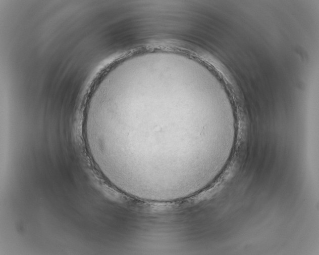 X0000111940832200909071258