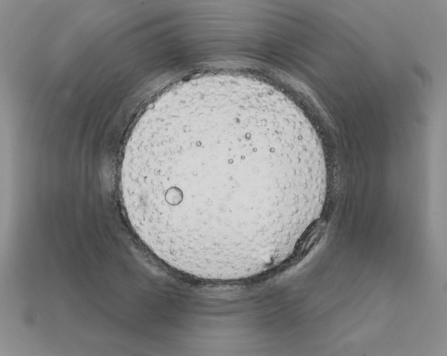 X0000111940833200909071258