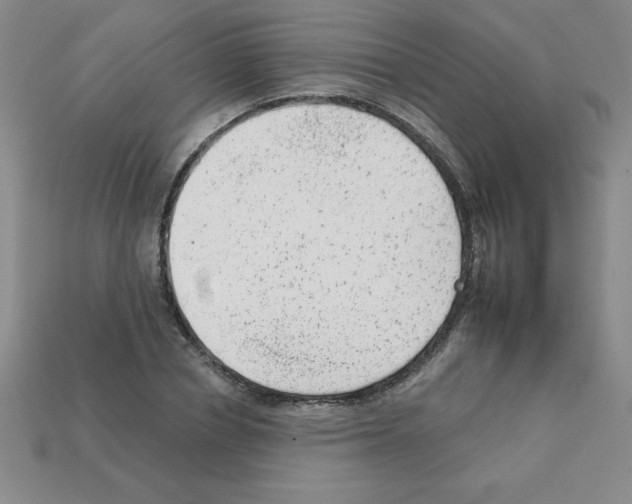 X0000111940834200909071258