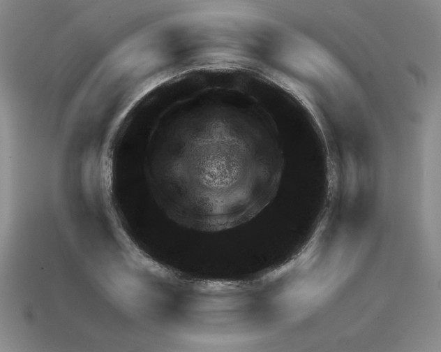 X0000111940835200909071258