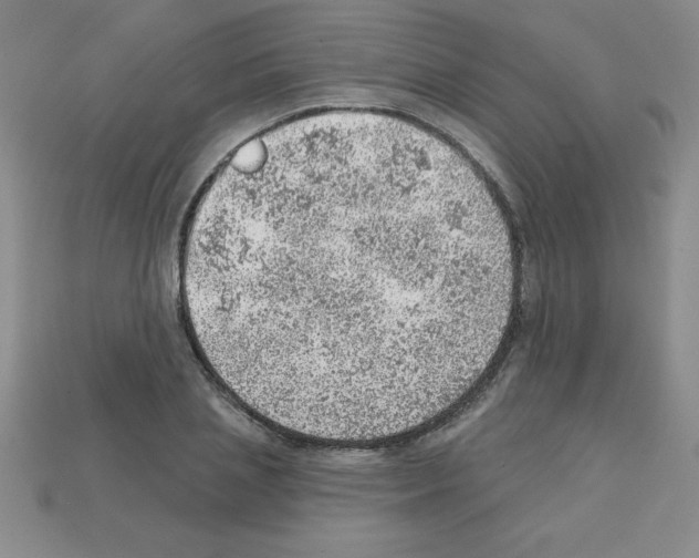 X0000111940837200909071258