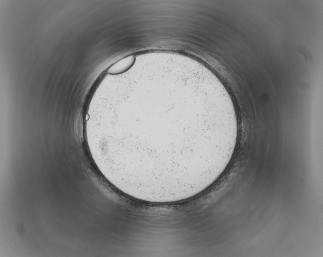 X0000111940838200909071258