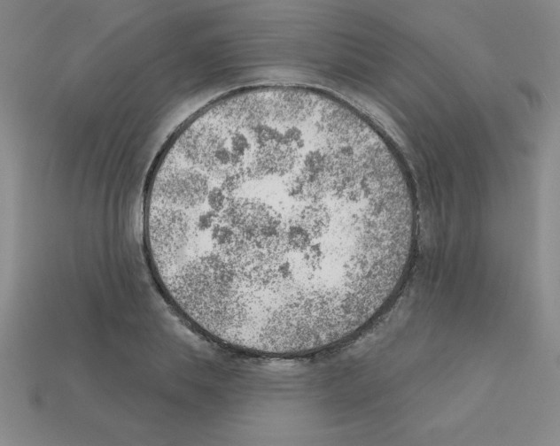 X0000111940839200909071258