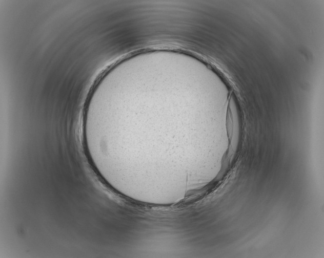 X0000111940840200909071258
