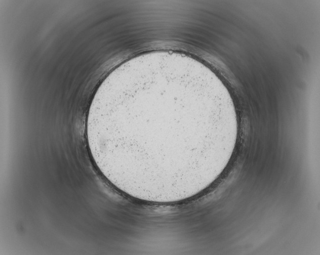 X0000111940841200909071258