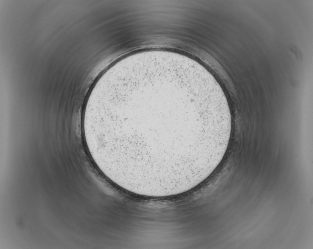 X0000111940842200909071258