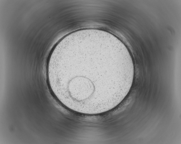 X0000111940843200909071258