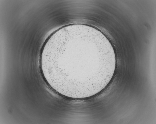 X0000111940846200909071258