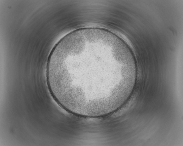 X0000111940847200909071258
