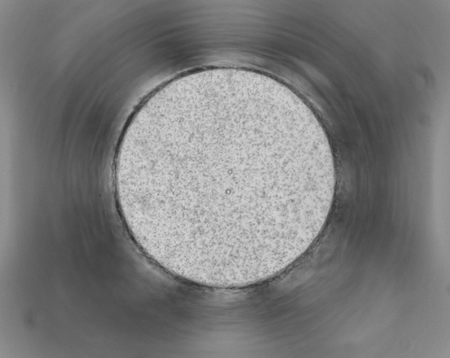 X0000111940848200909071258