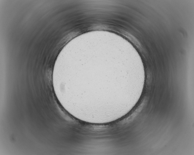 X0000111940849200909071258