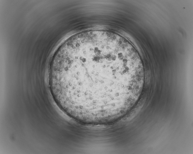 X0000111940851200909071258