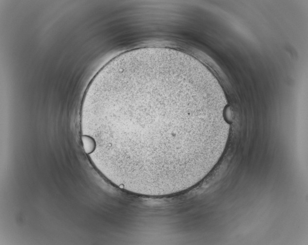 X0000111940852200909071258