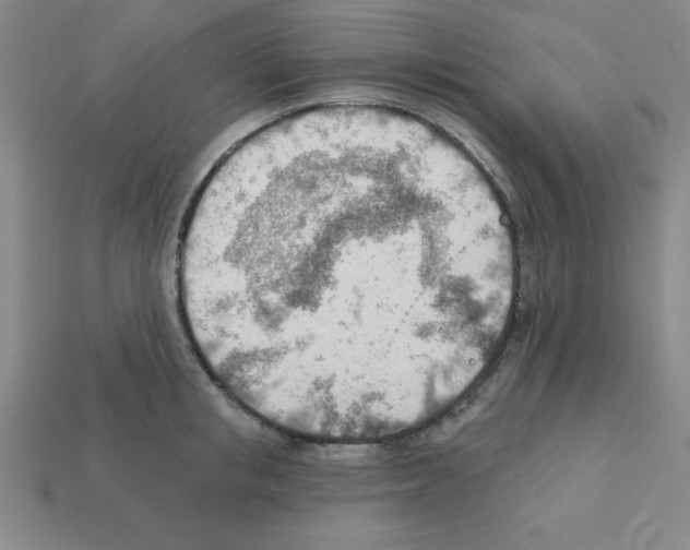 X0000111940853200909071258