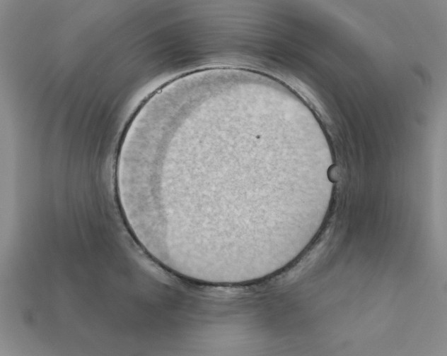 X0000111940854200909071258