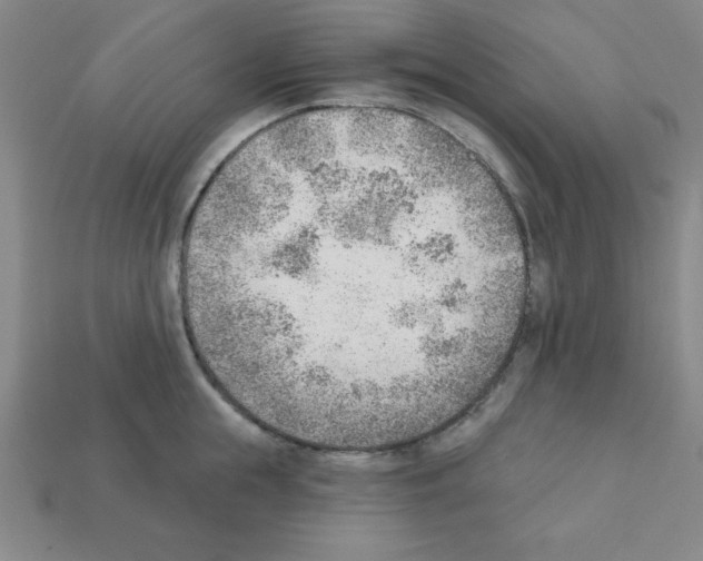 X0000111940855200909071258