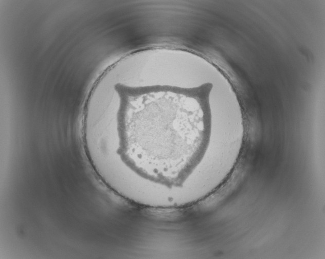 X0000111940856200909071258