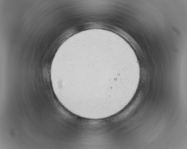 X0000111940857200909071258