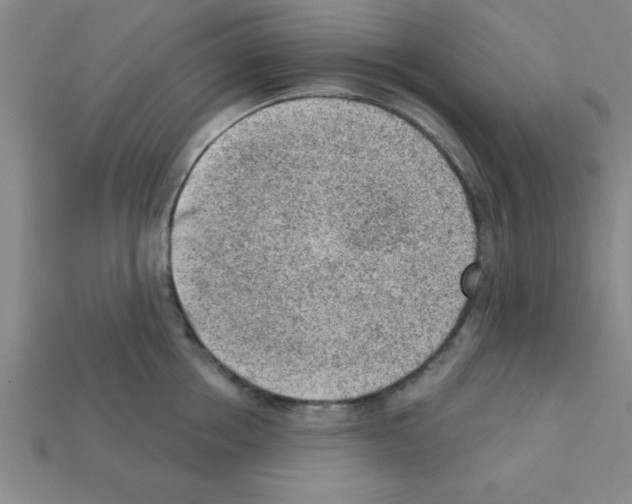X0000111940858200909071258