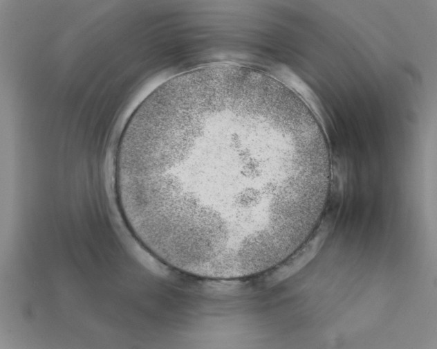 X0000111940859200909071258