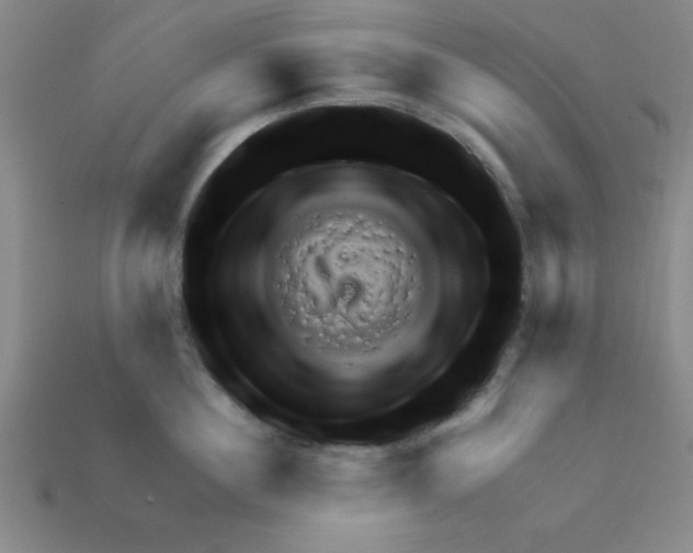 X0000111940860200909071258