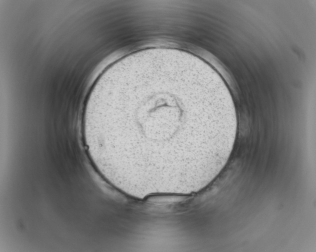 X0000111940861200909071258