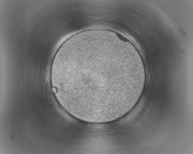 X0000111940862200909071258