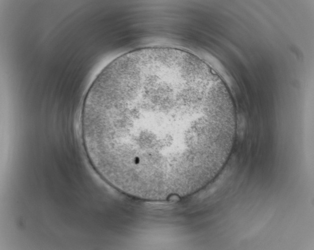 X0000111940863200909071258