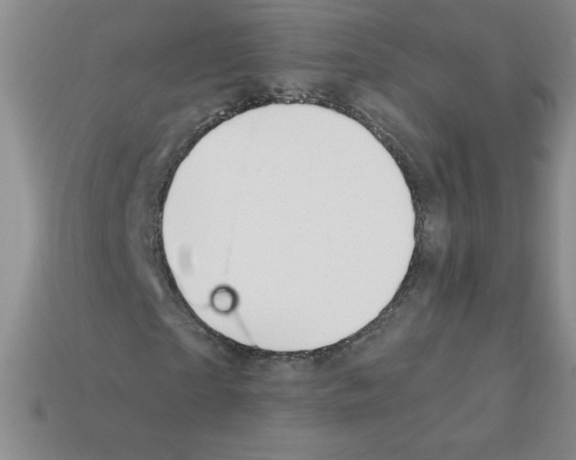 X0000111940865200909071258