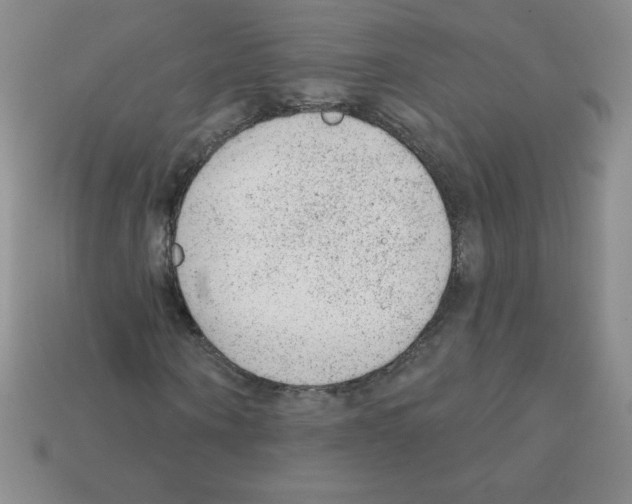 X0000111940866200909071257