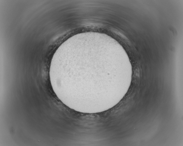 X0000111940869200909071257