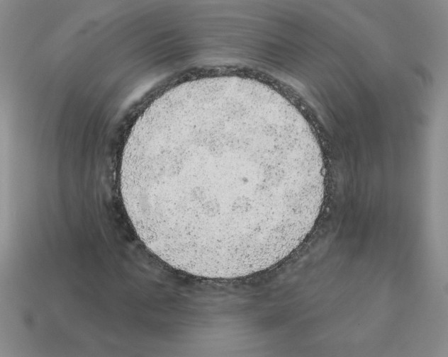 X0000111940871200909071257
