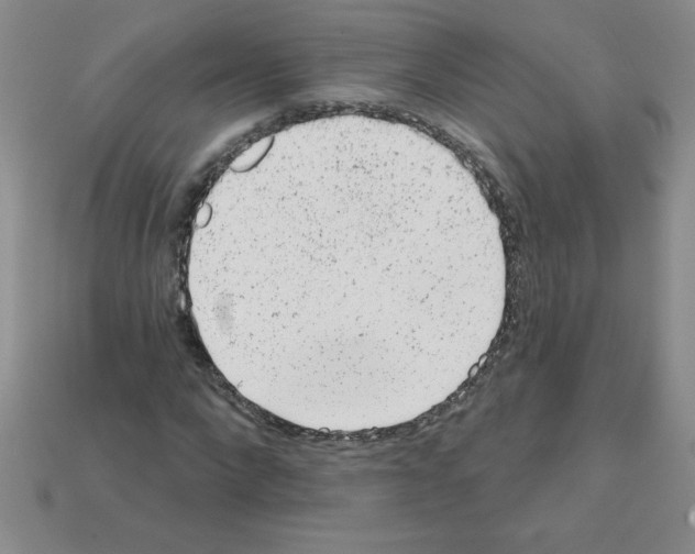 X0000111940872200909071257