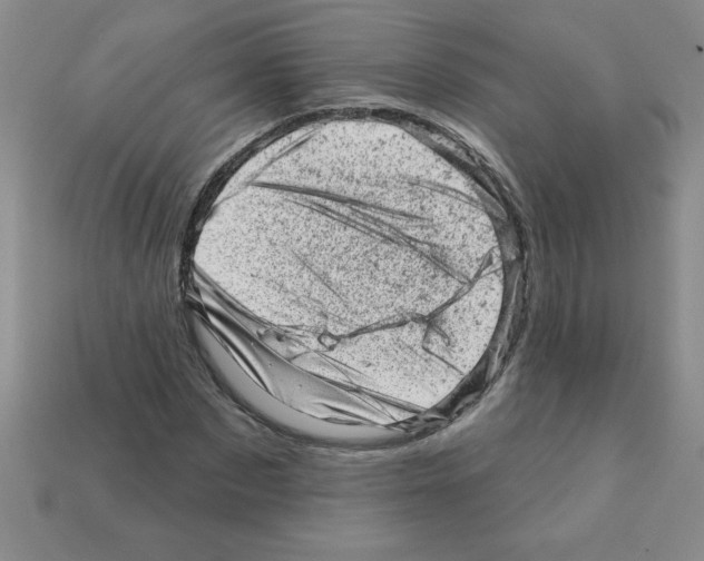 X0000111940873200909071257