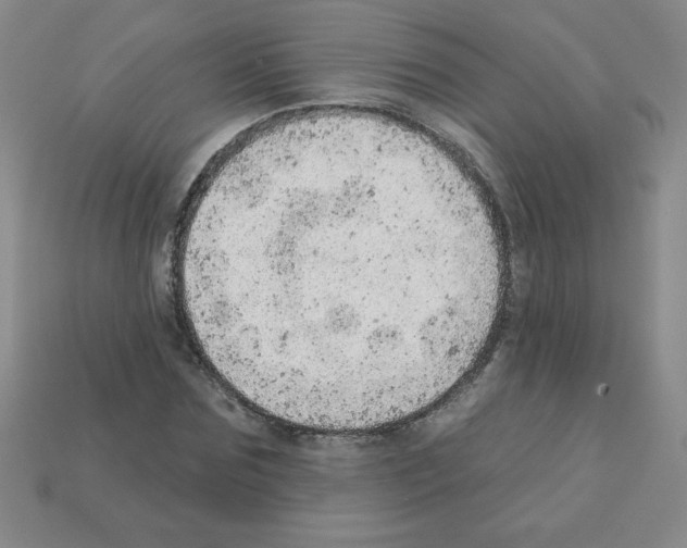 X0000111940875200909071257