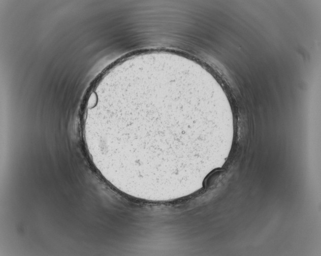 X0000111940876200909071257