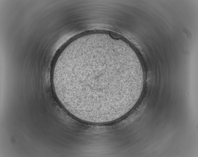 X0000111940877200909071257