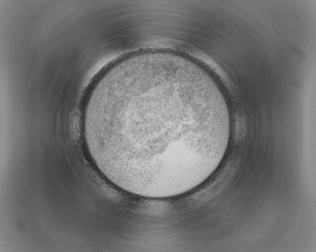 X0000111940878200909071257