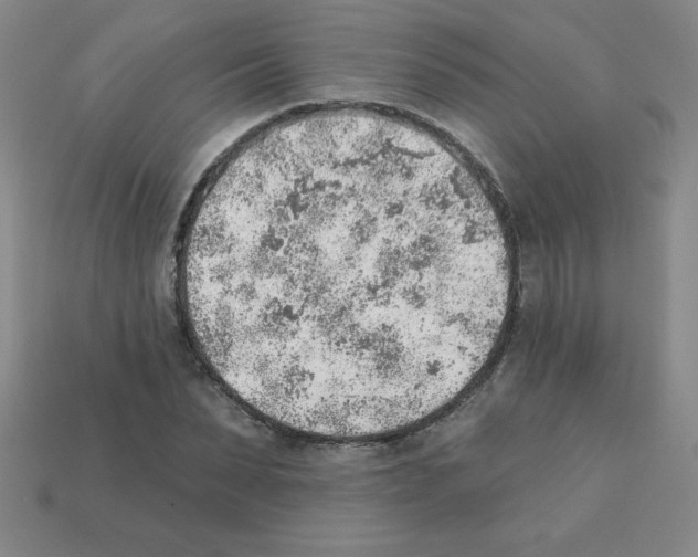 X0000111940879200909071257