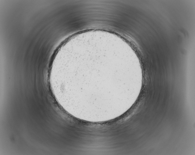 X0000111940880200909071257