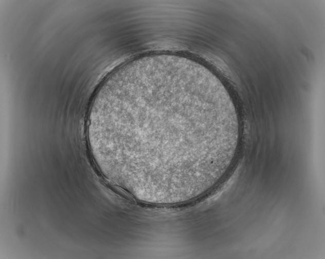 X0000111940881200909071257