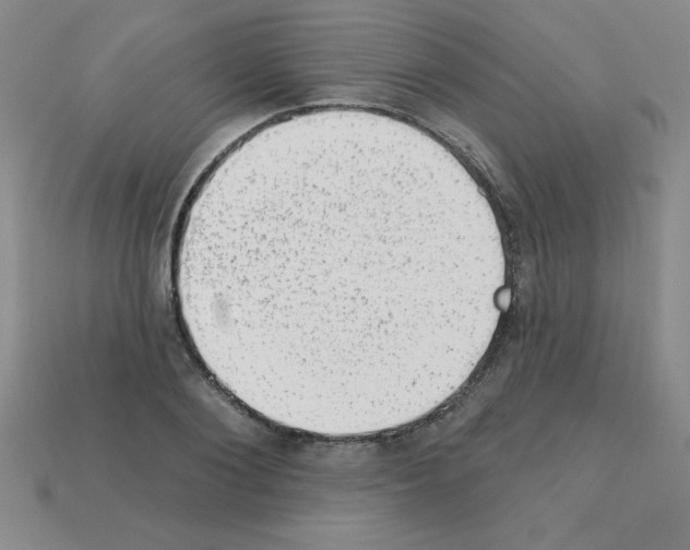 X0000111940884200909071257