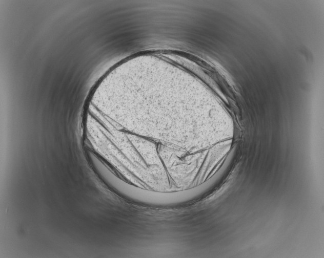 X0000111940885200909071257